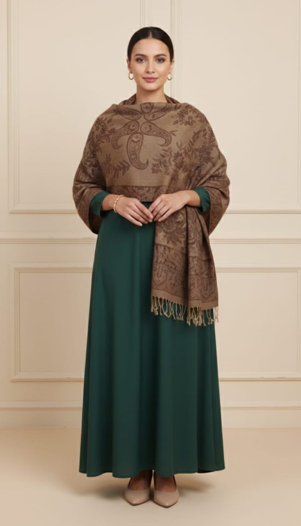 1 Pashmina Shawl